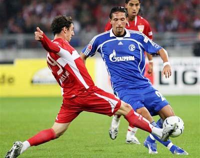 利用其独特 利用其独特